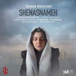 Player Cover